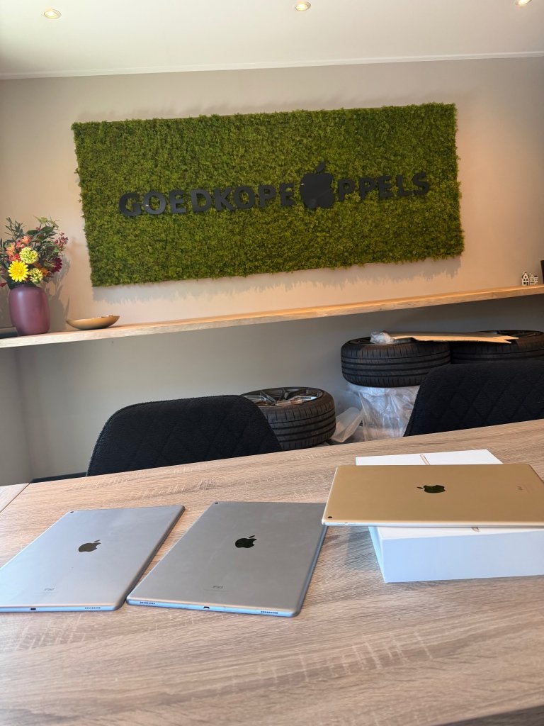 iPad Pro 12 9 inch 1e Gen 32/128GB Grijs/Goud | Wifi model, Computers en Software, Apple iPads, Ophalen, 32 GB, Apple, Cupertino California