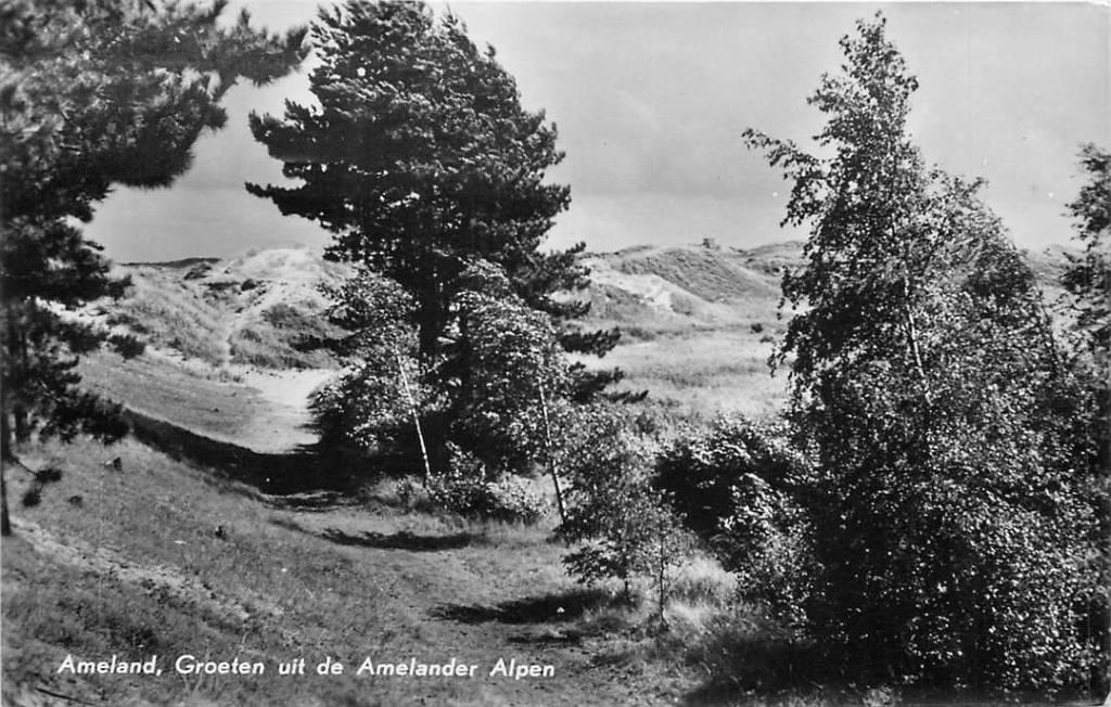 381-485-033 Ameland Amelander Alpen, Verzenden, Voor 1920, Friesland