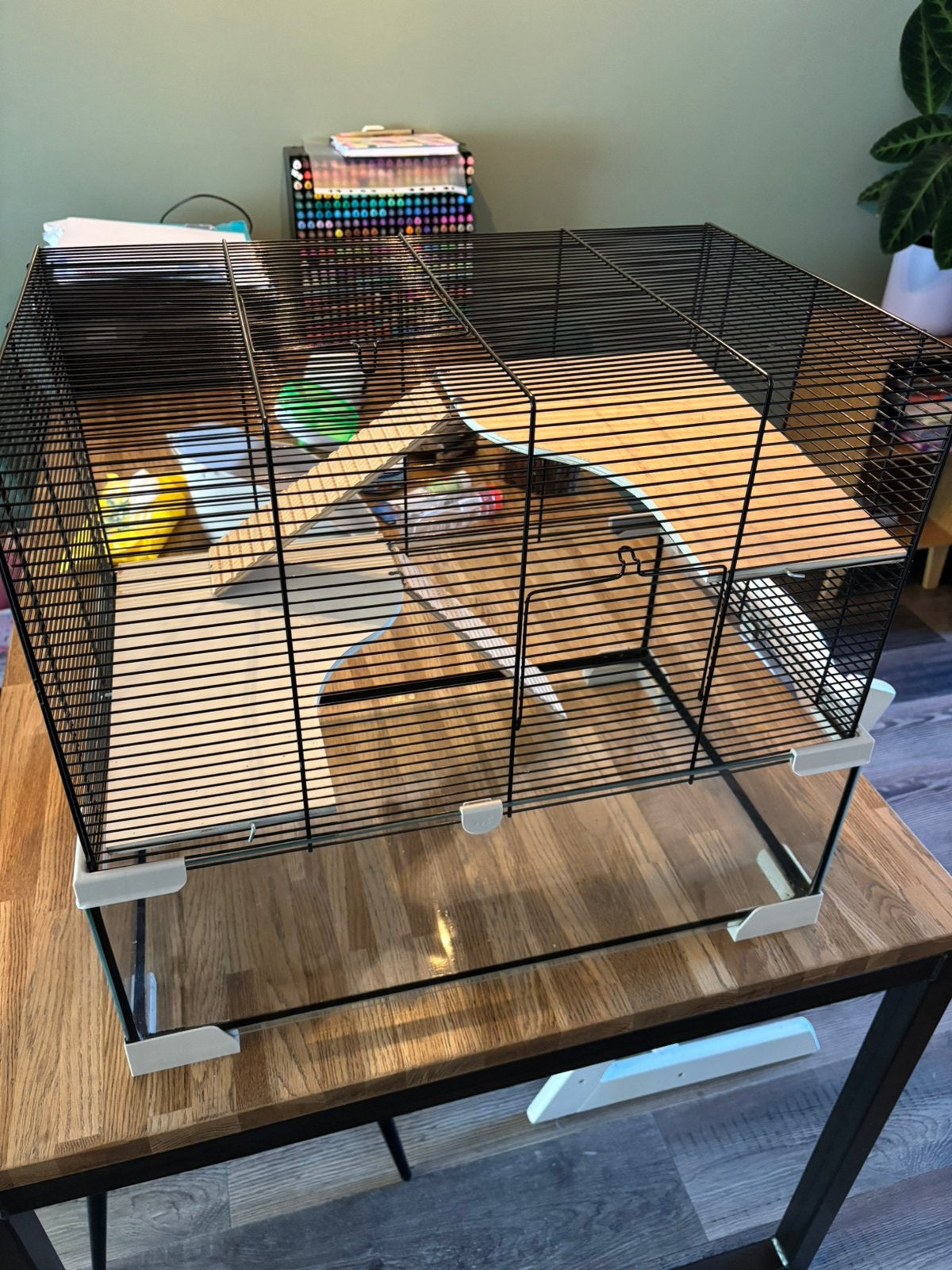 Knaagdieren kooi, Kooi, Minder dan 75 cm, Ophalen, Minder dan 60 cm