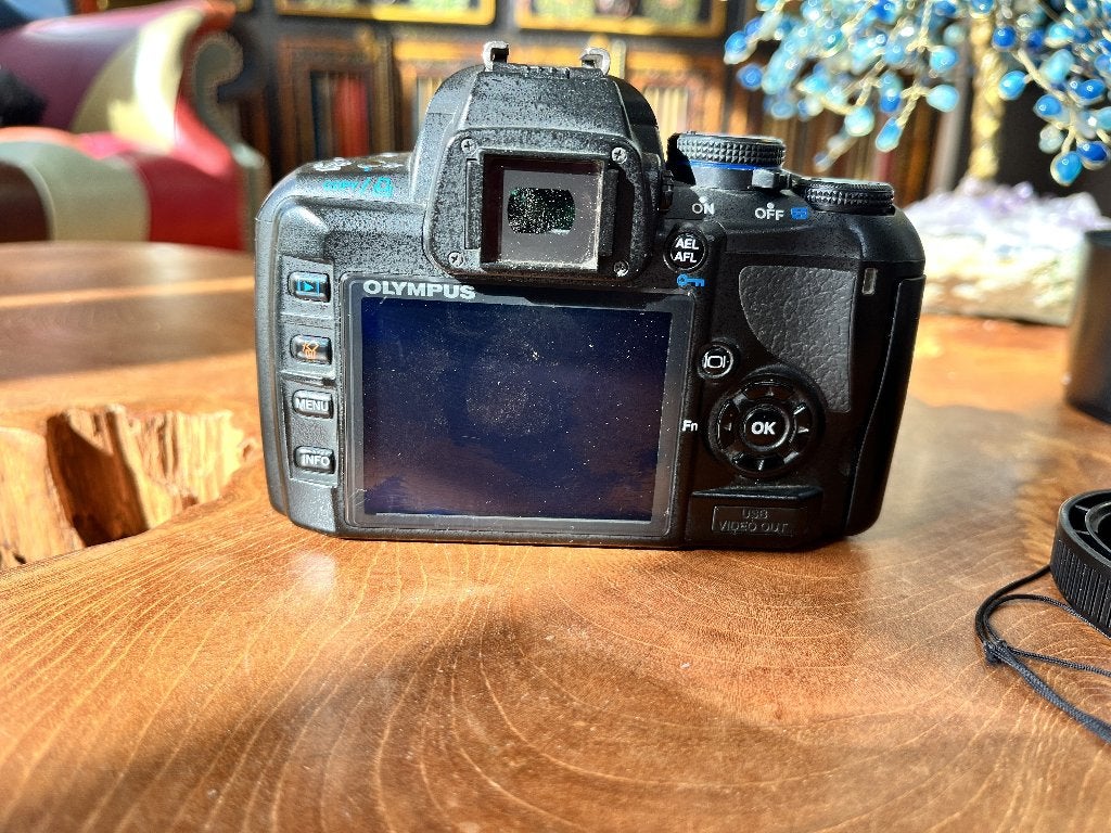 olympus E-420, Bodydop, Gebruikt, Spiegelreflex, Ophalen of Verzenden