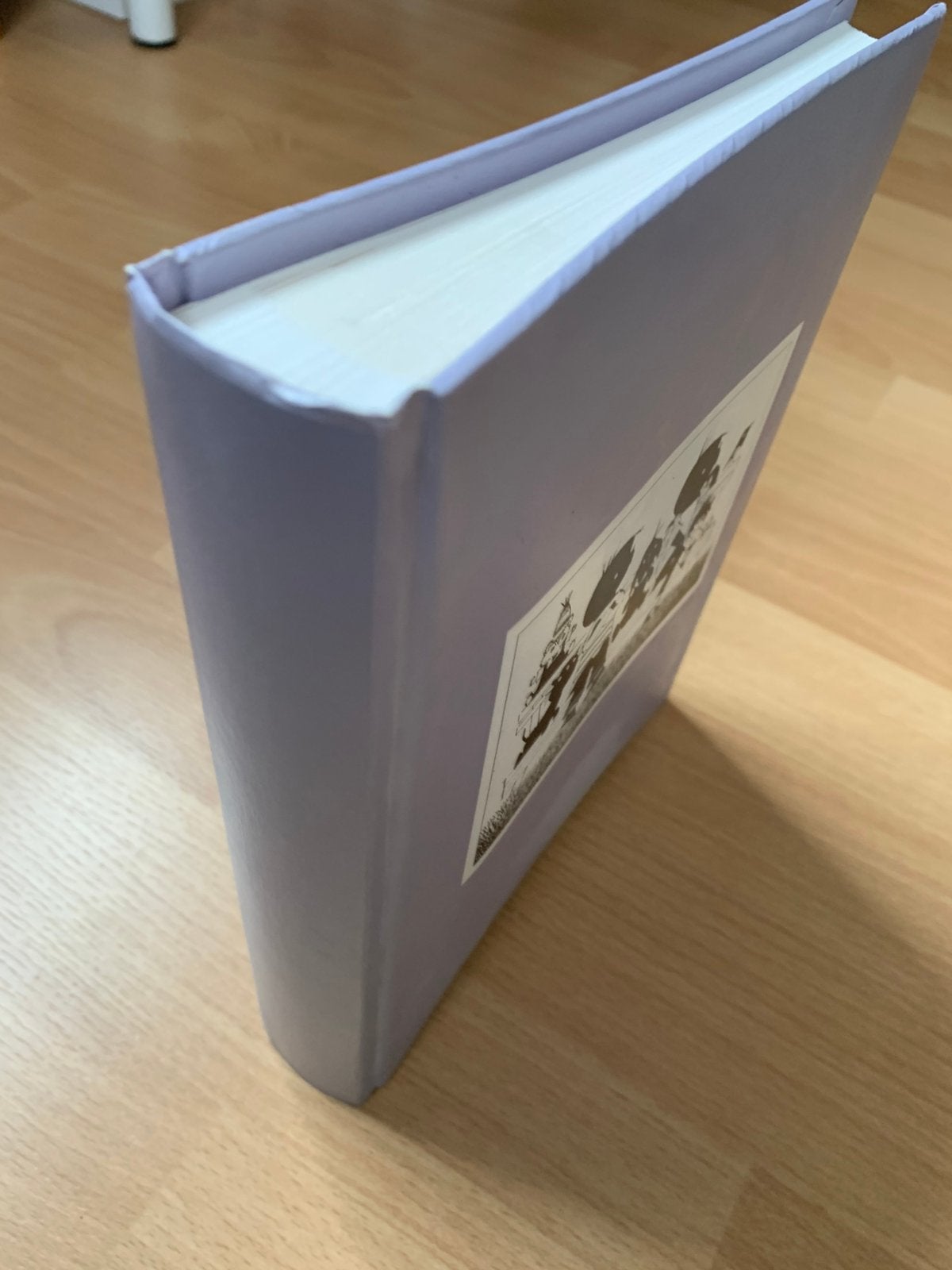 Fotoalbums in diverse maten en uitvoeringen., Ophalen of Verzenden, Nieuw