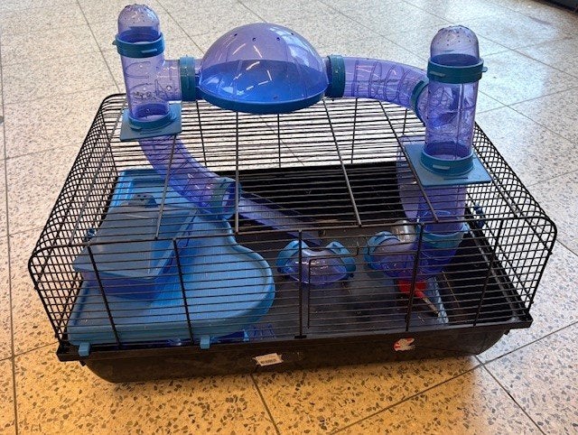 Knaagdierkooi Fred, Kooi, Minder dan 75 cm, Zo goed als nieuw, Ophalen