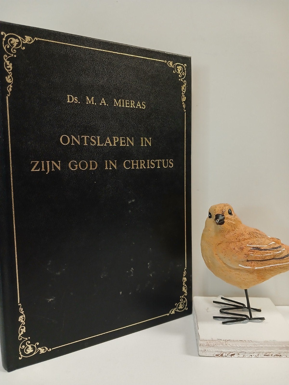 Mieras, Ds. M.A.; Ontslapen in zijn God in Christus, Ophalen of Verzenden, Zo goed als nieuw, Christendom | Protestants