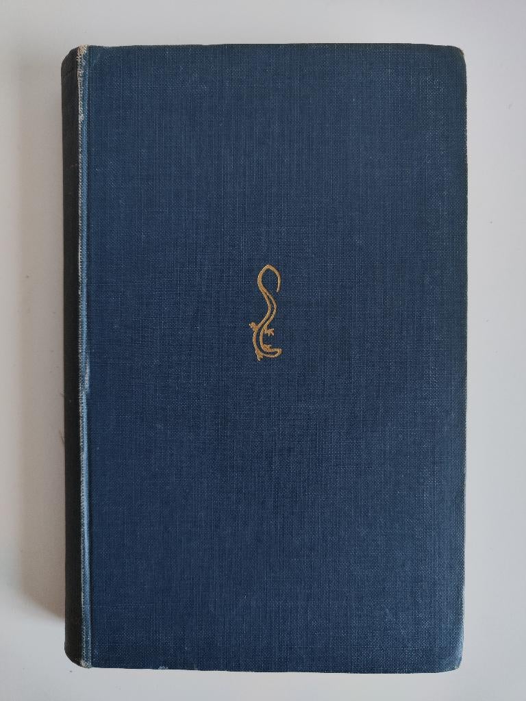 Frans Coenen - Zondagsrust, Gelezen, Ophalen of Verzenden, Frans Coenen, Nederland
