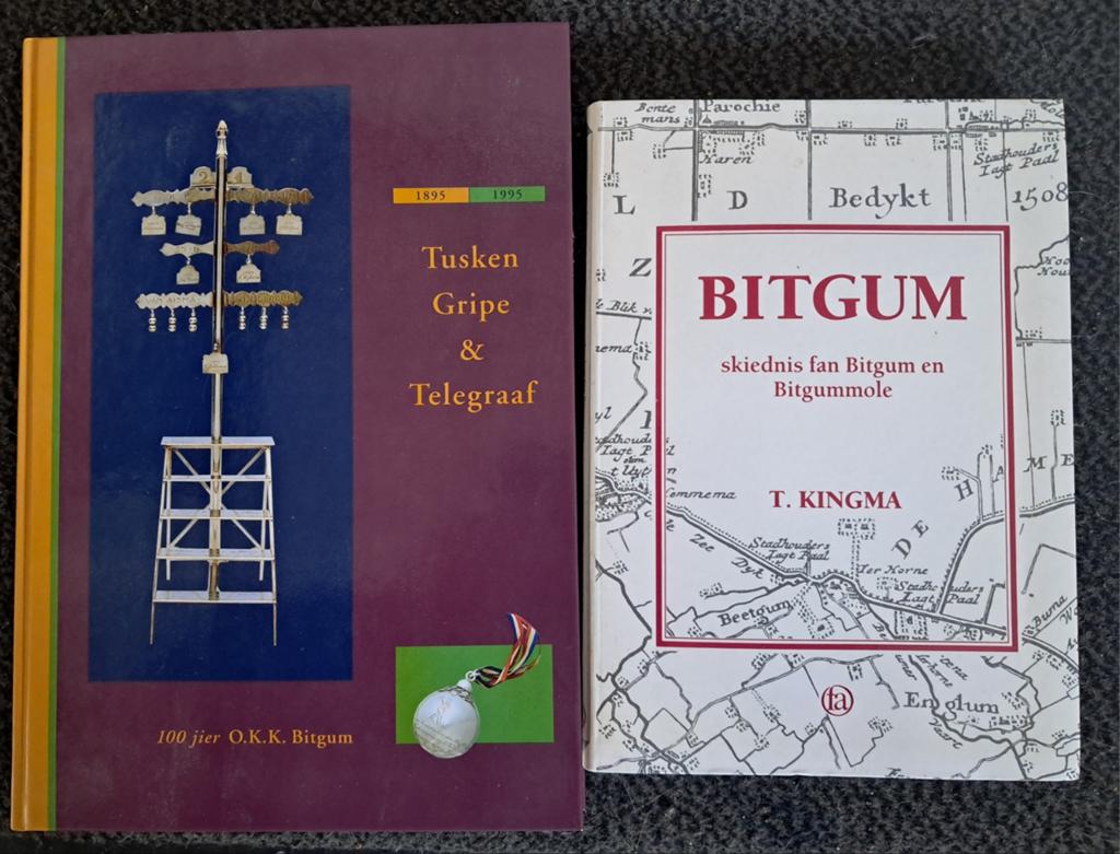 2 boeken over de geschiedenis van Beetgum en kaatsen, Ophalen of Verzenden, Gelezen