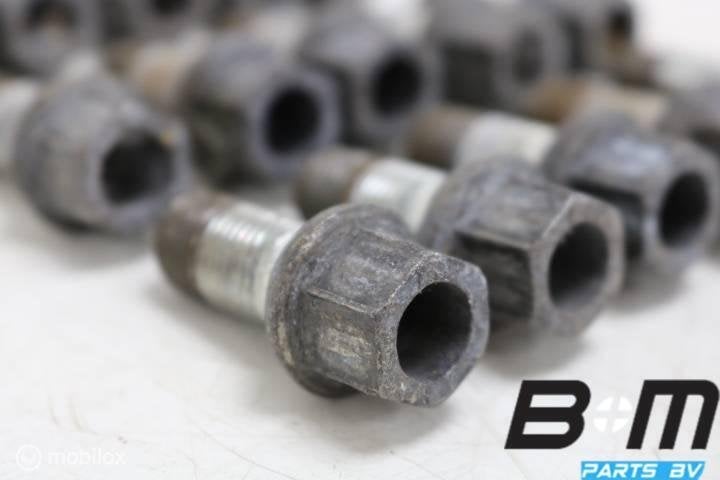 Set van 16 wielbouten VW Tiguan 5N, Gebruikt, Band(en)