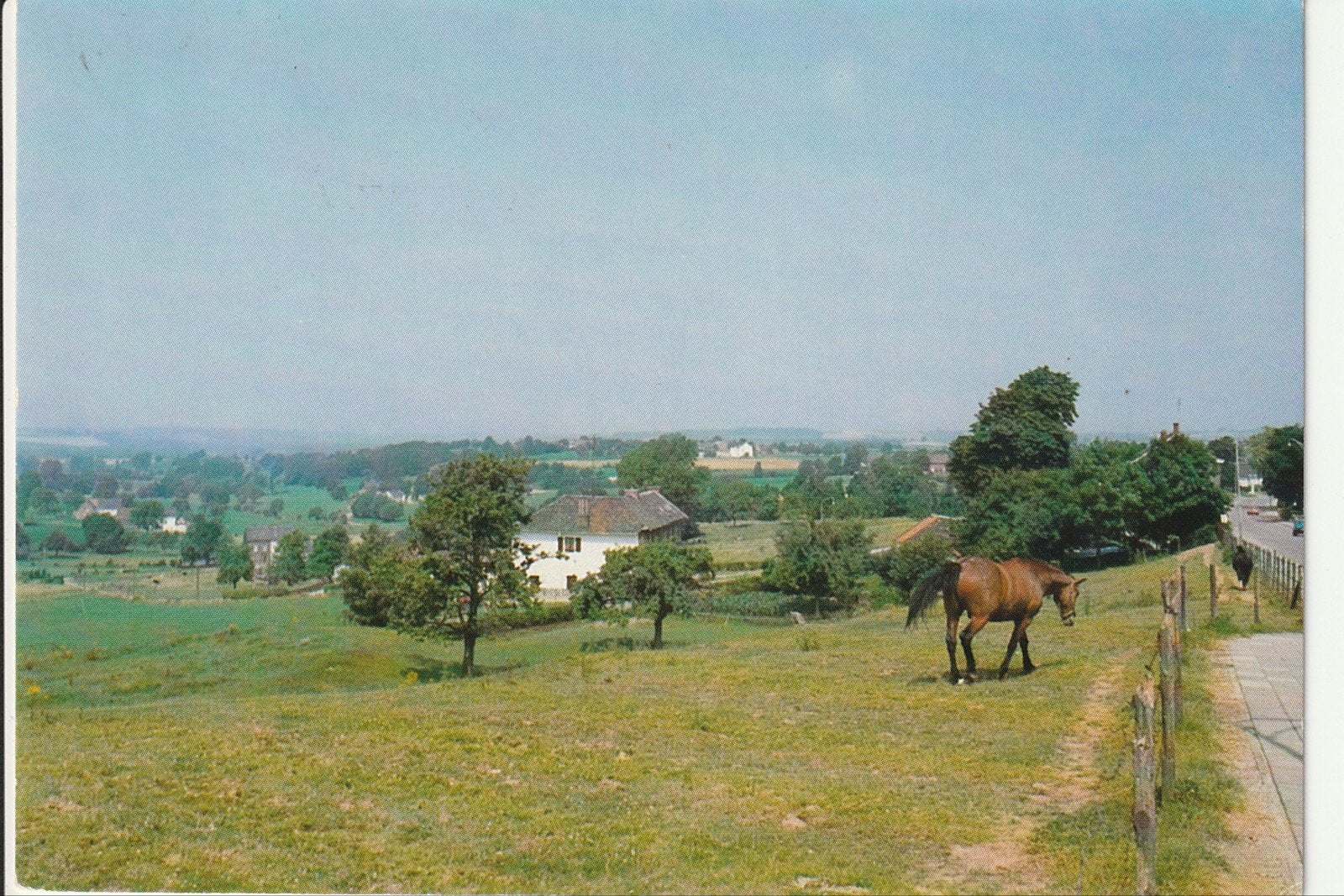 GROETEN UIT VIJLEN LIMBURGS HEUVELLAND VAKWERKHUIZEN PAARD, Ophalen of Verzenden, 1980 tot heden, Gelopen, Limburg