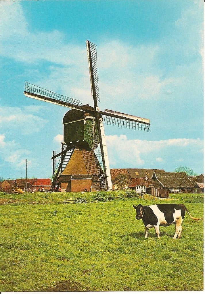 Ansichtkaart Bleskensgraaf Poldermolen Wipmolen Koe, Ophalen of Verzenden, 1960 tot 1980, Ongelopen, Zuid-Holland