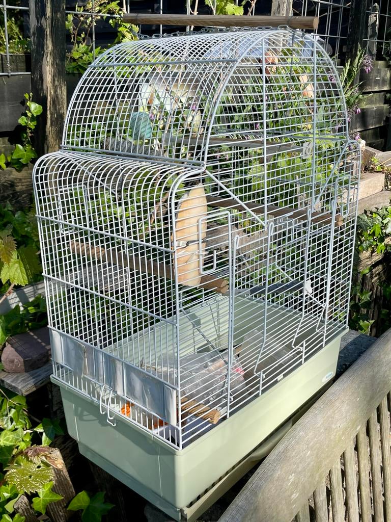 Mooi me Vogelkooi, Ophalen, Zo goed als nieuw, Metaal, Vogelkooi