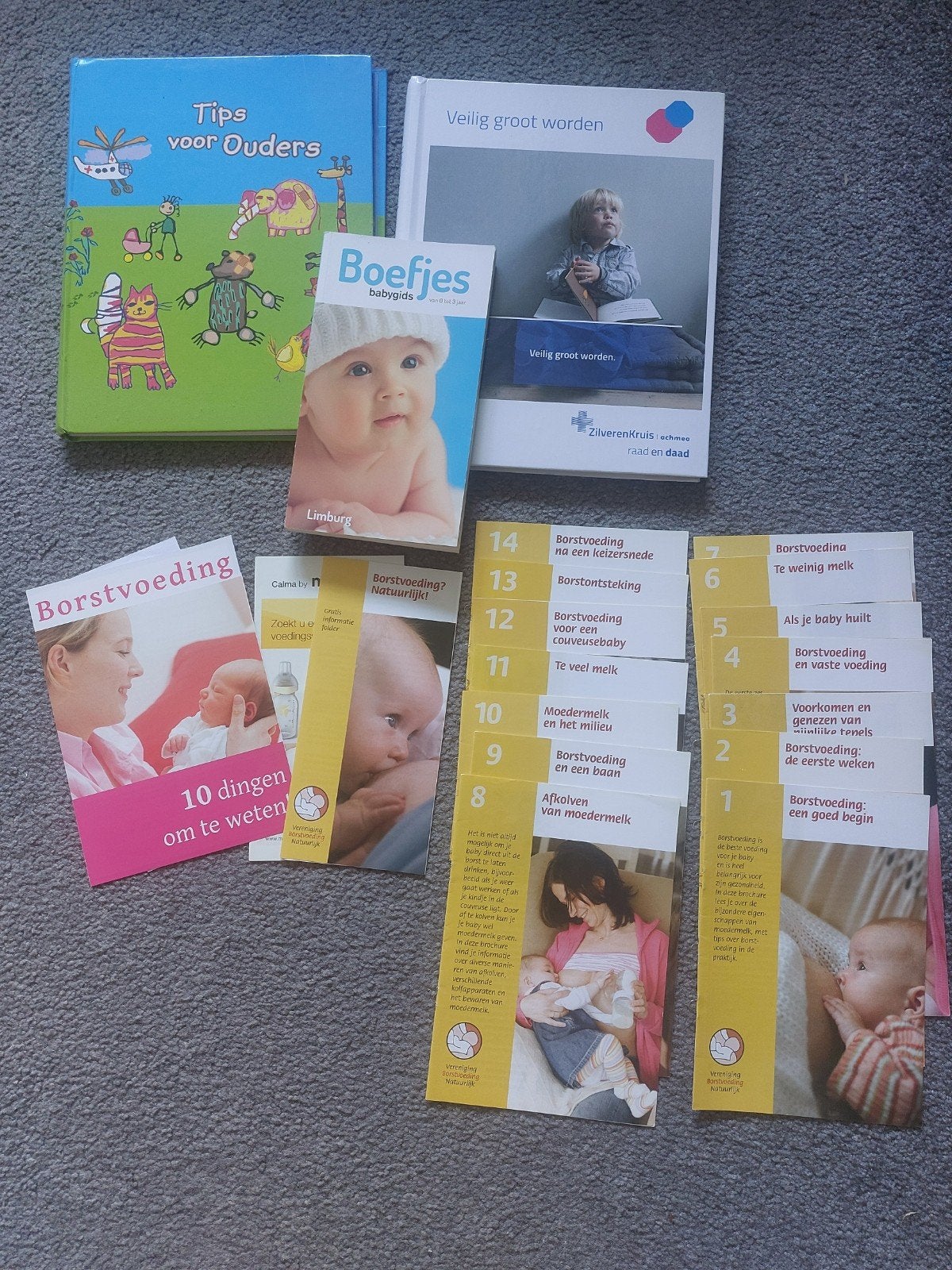 gratis boekjes over baby en borstvoeding, Ophalen of Verzenden, Zo goed als nieuw, Zwangerschap en Bevalling