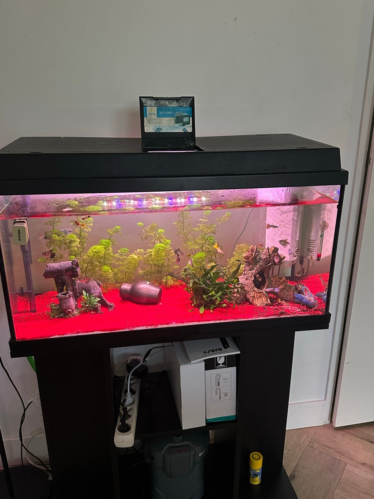 Het aquarium is groot., Ophalen of Verzenden