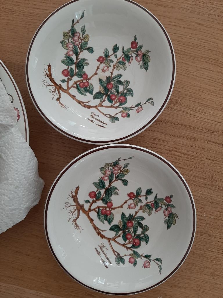 Vileroy en Boch botanica servies, Ophalen