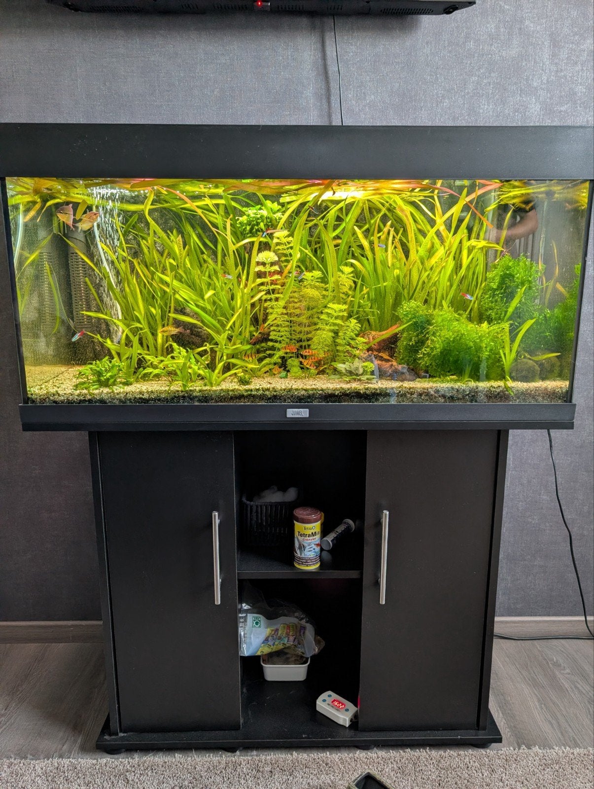 Juwel Rio 180, Dieren en Toebehoren, Vissen | Aquaria en Toebehoren, Ophalen of Verzenden, Zo goed als nieuw, Gevuld zoetwateraquarium
