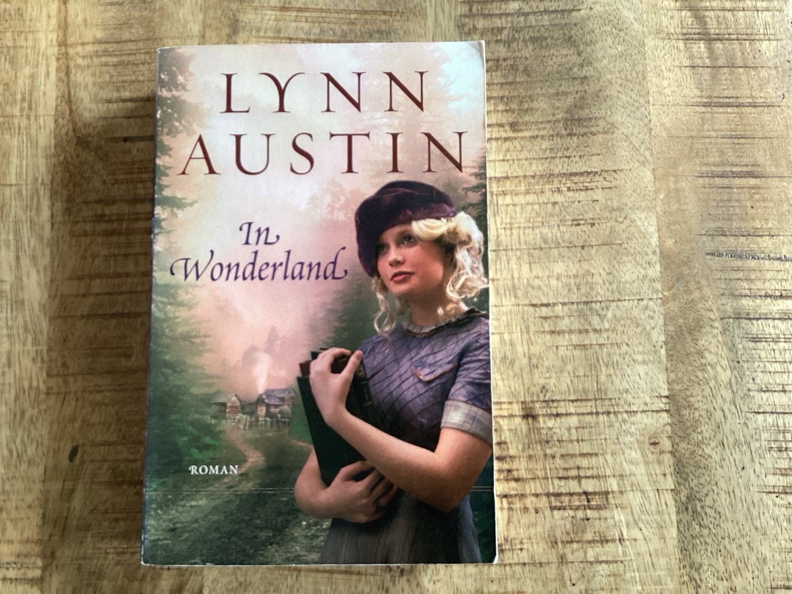 Lynn Austin - In Wonderland (Roman), Ophalen of Verzenden, Gelezen, Nederland