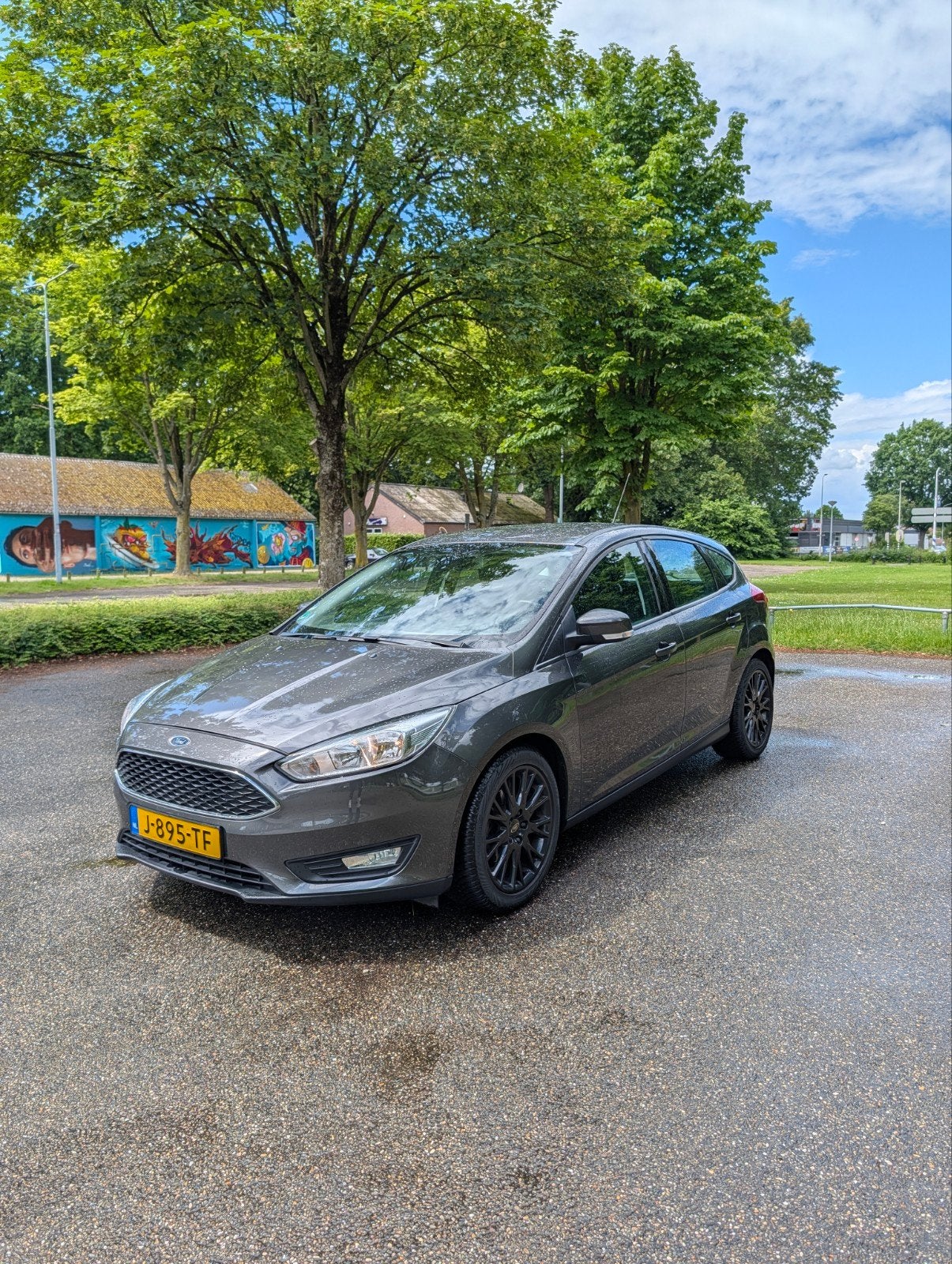 Ford Focus 1.0 Ecoboost Titanium 2016 Grijs, Auto's, Ford, Particulier, Focus, Benzine, A, Hatchback, Handgeschakeld, Geïmporteerd