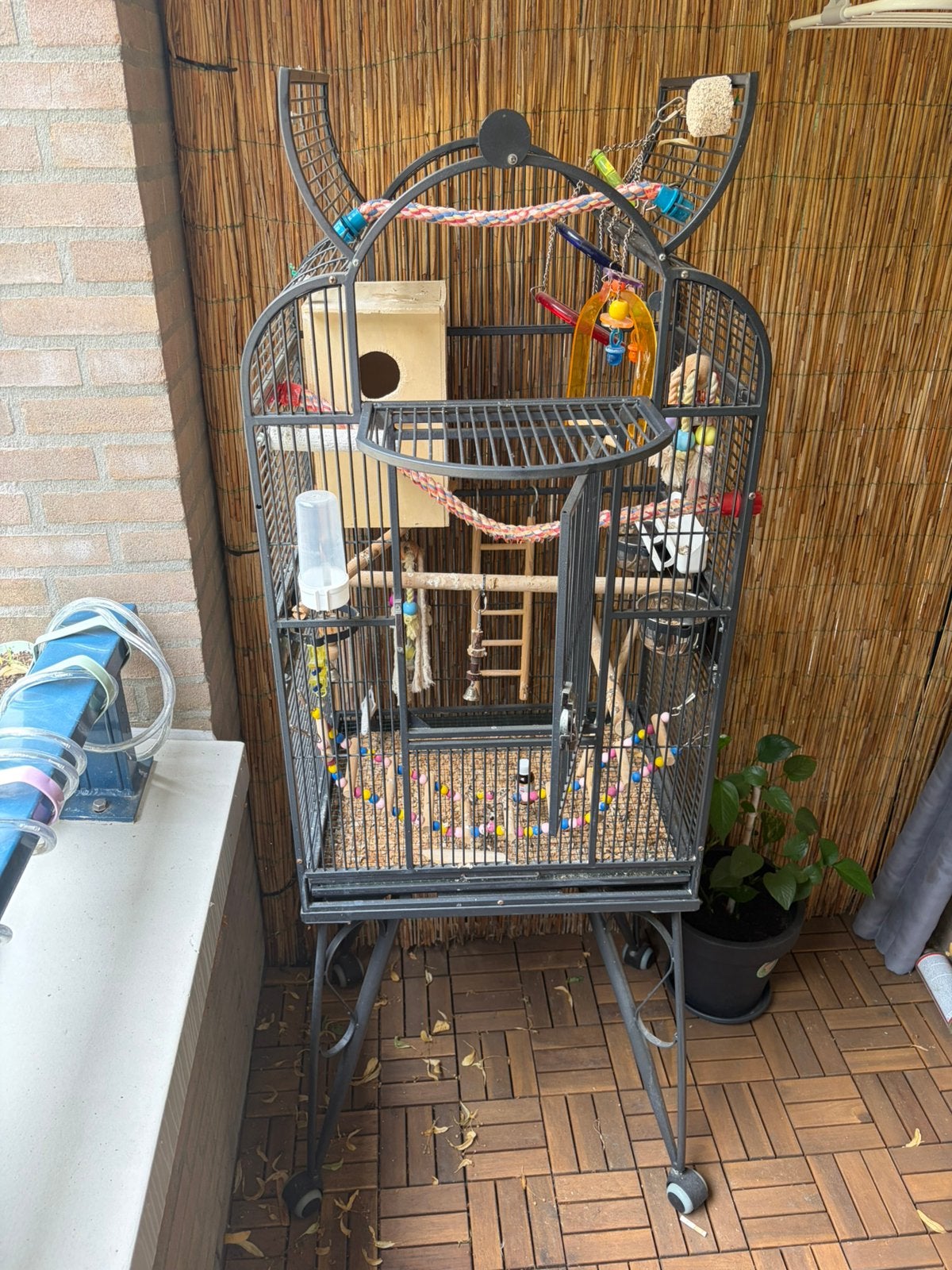 Grote papegaaienkooi met standaard en accessoires, Dieren en Toebehoren, Vogels | Hokken en Kooien, Ophalen, Zo goed als nieuw