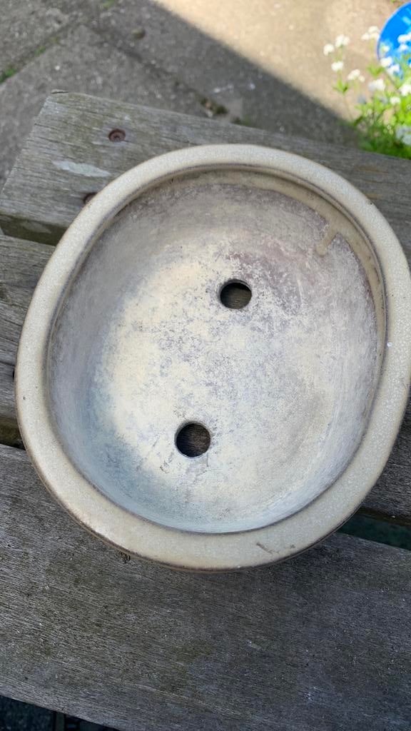 Bonsai schaal, Rond, Ophalen of Verzenden, Zo goed als nieuw, Aardewerk