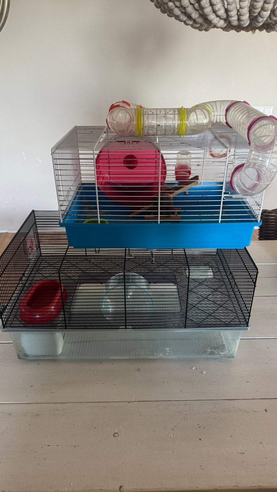 Hamsterkooi, Dieren en Toebehoren, Kooi, Gebruikt, Minder dan 75 cm, Hamster