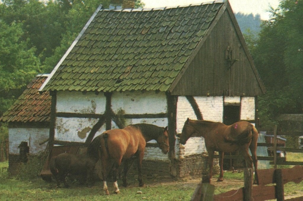 988417 Margraten 80+ Limburg Geul Vakwerk Gelopen, Ophalen of Verzenden, 1980 tot heden, Gelopen, Limburg