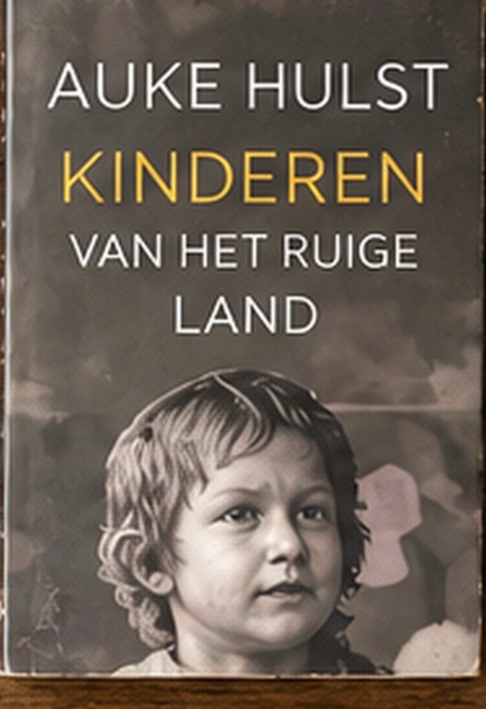 Kinderen van het Ruige Land - Auke Hulst (Boek), Ophalen of Verzenden, Gelezen, Nederland