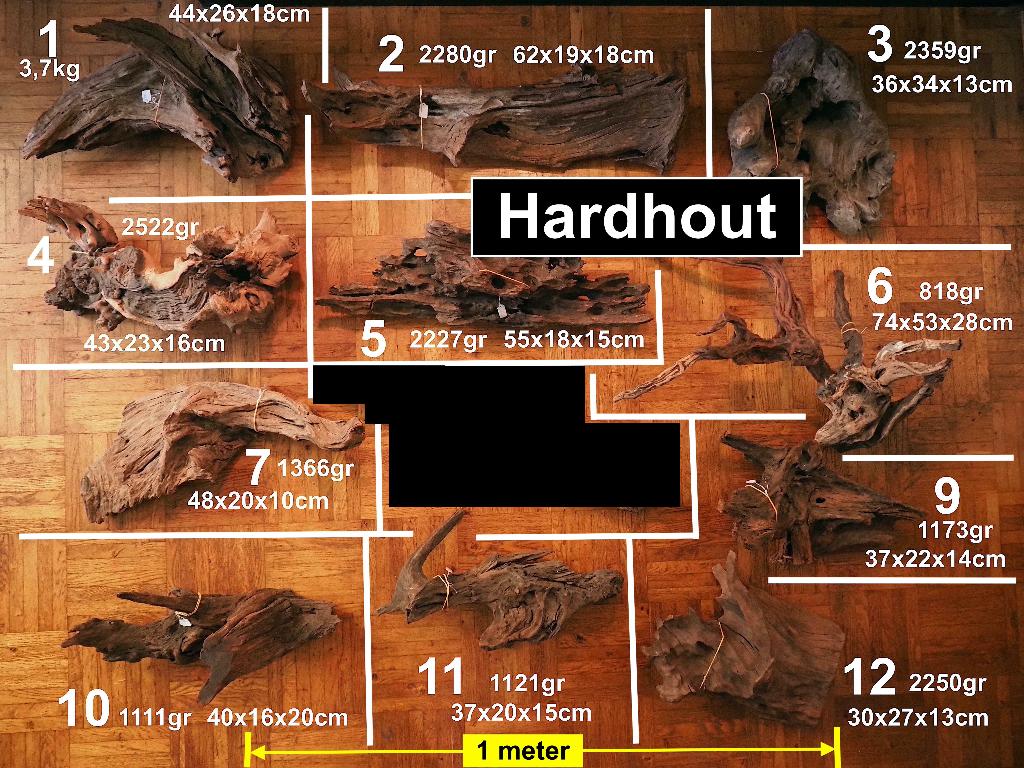 11 stukken terrarium hardhout per stuk of als geheel te koop, Dieren en Toebehoren, Ophalen of Verzenden, Zo goed als nieuw, Tak, Plant, Rots of Steen