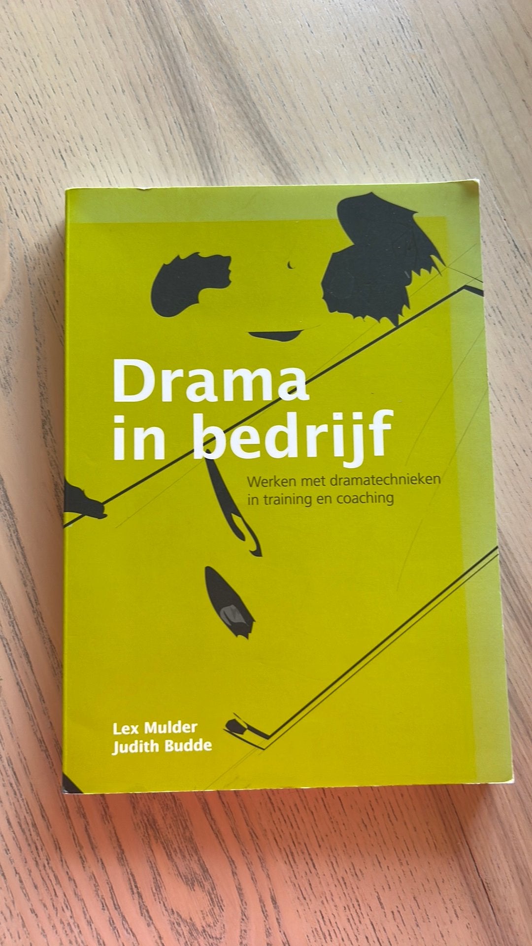 Lex Mulder - Drama in bedrijf, Ophalen of Verzenden, Zo goed als nieuw, Lex Mulder; Judith Budde