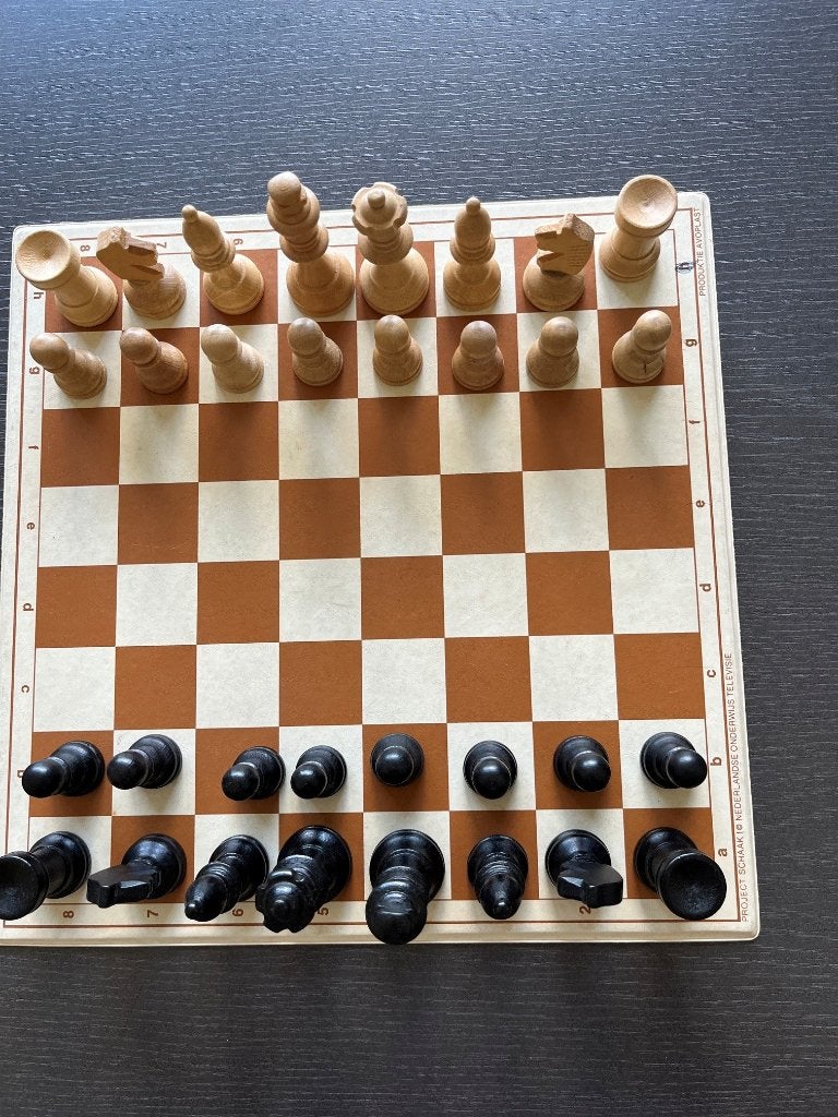 Schaakspel met pionnen compleet met bord, Ophalen of Verzenden, Gebruikt