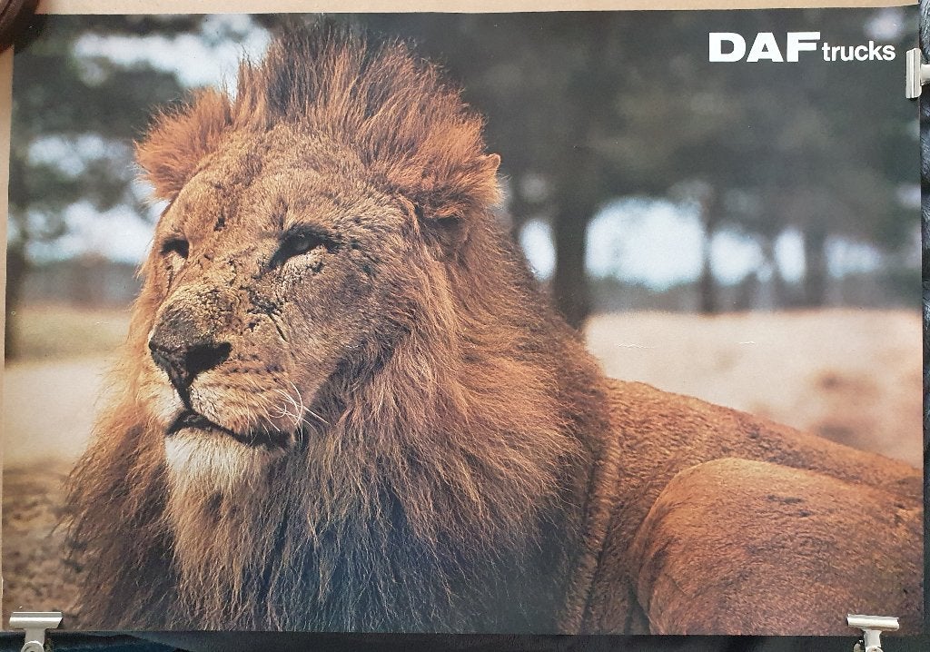DAF trucs poster - Leeuw, Verzenden, Rechthoekig Liggend, Zo goed als nieuw, A1 t/m A3