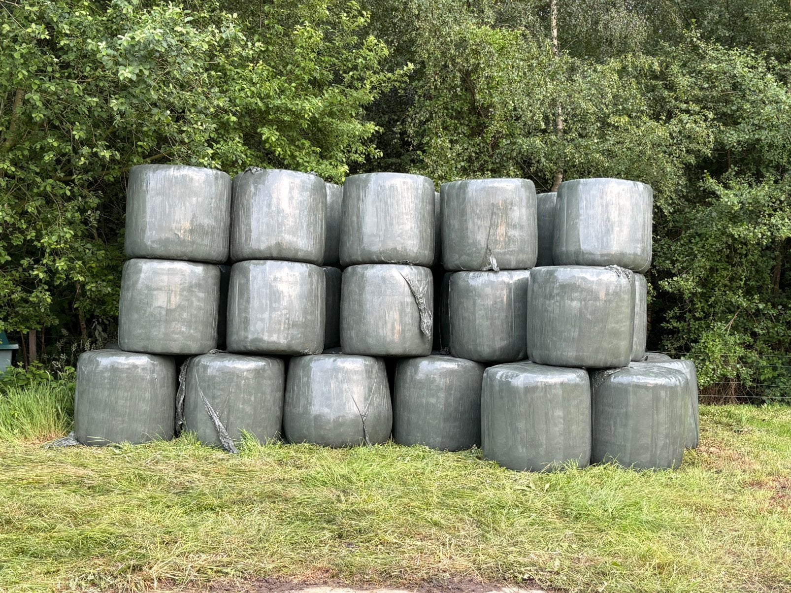 Hooi mini rondjes 1ste snee, Dieren en Toebehoren, Dierenvoeding, Ophalen, Vee