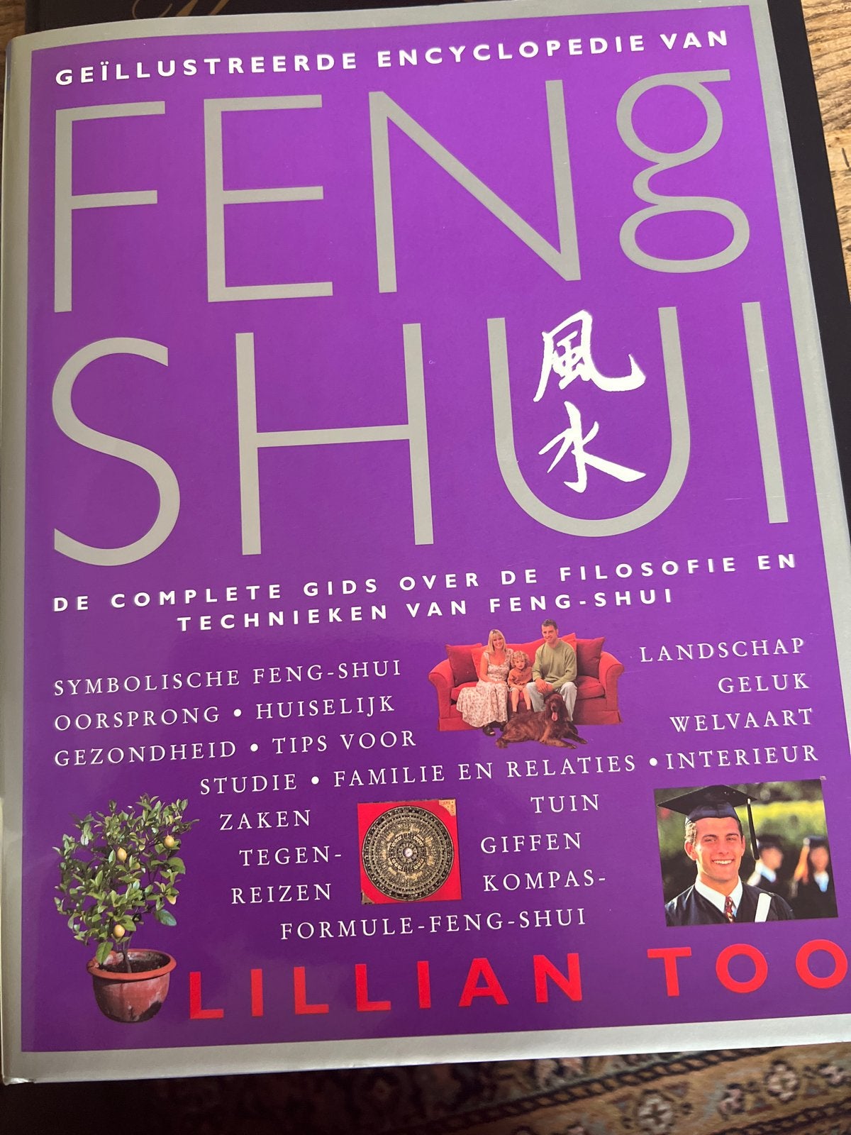 Geïllustreerde Encyclopedie van Feng Shui - Lillian Too, Boeken, Achtergrond en Informatie, Spiritualiteit algemeen, Ophalen of Verzenden
