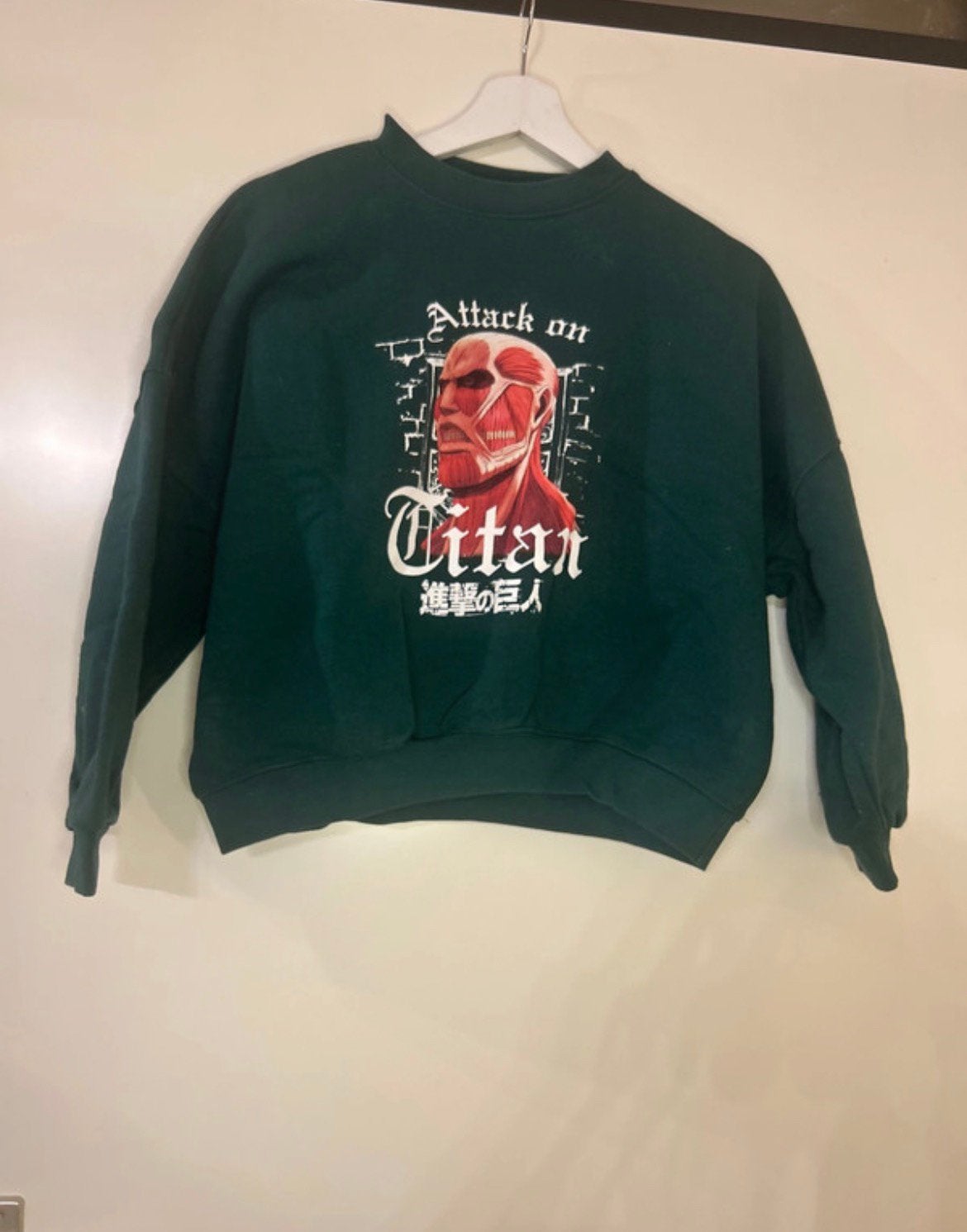 attack on titan sweater, Ophalen of Verzenden, Zo goed als nieuw, Maat 34 (XS) of kleiner, Groen