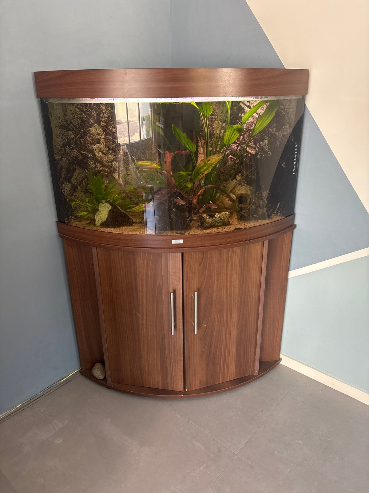 Prachtig, goedwerkend aquarium van Jubel, Ophalen, Zo goed als nieuw, Leeg aquarium
