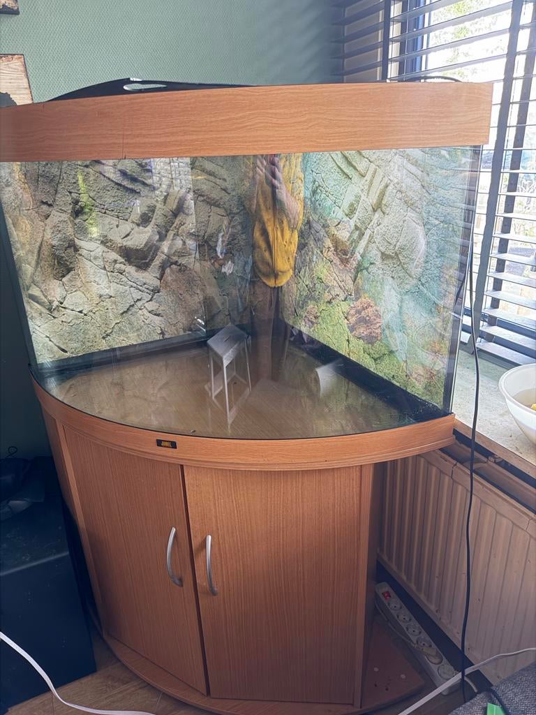 Juwel Trigon 190, Ophalen of Verzenden, Gebruikt, Leeg aquarium