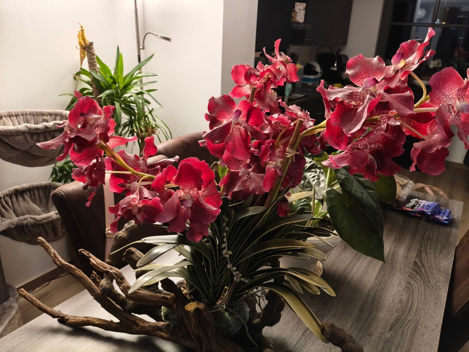 Exclusief Vanda kunstorchideeën bloemstuk op drijfhout, Ophalen, Meerkleurig, Zo goed als nieuw, Natuurlijk materiaal