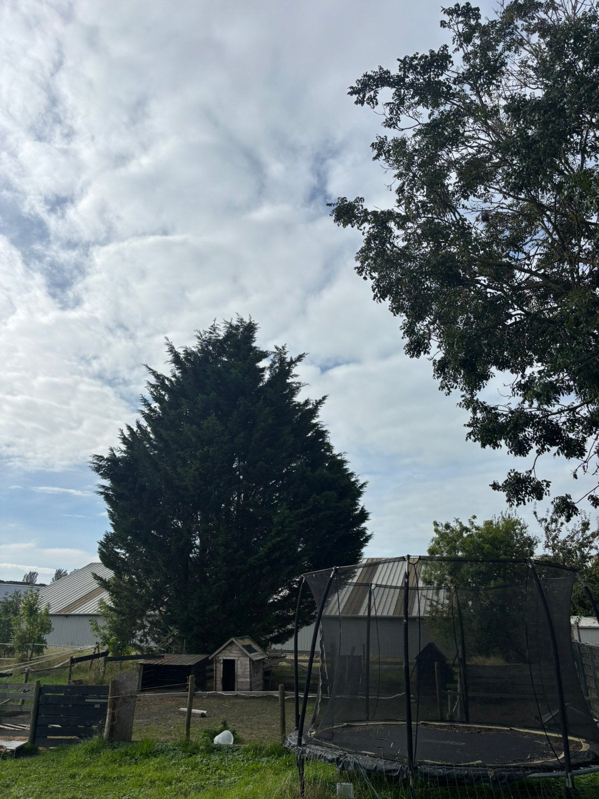 Gratis ophalen hout gaas metalen buizen, Tuin en Terras, Ophalen, Hout, Tuinhek