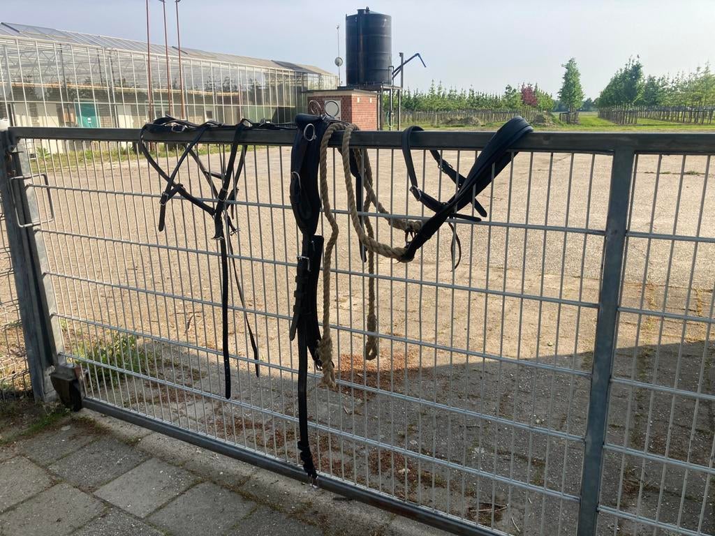 Mentuig voor shet/minishet, Dieren en Toebehoren, Ophalen, Gebruikt, Overige soorten