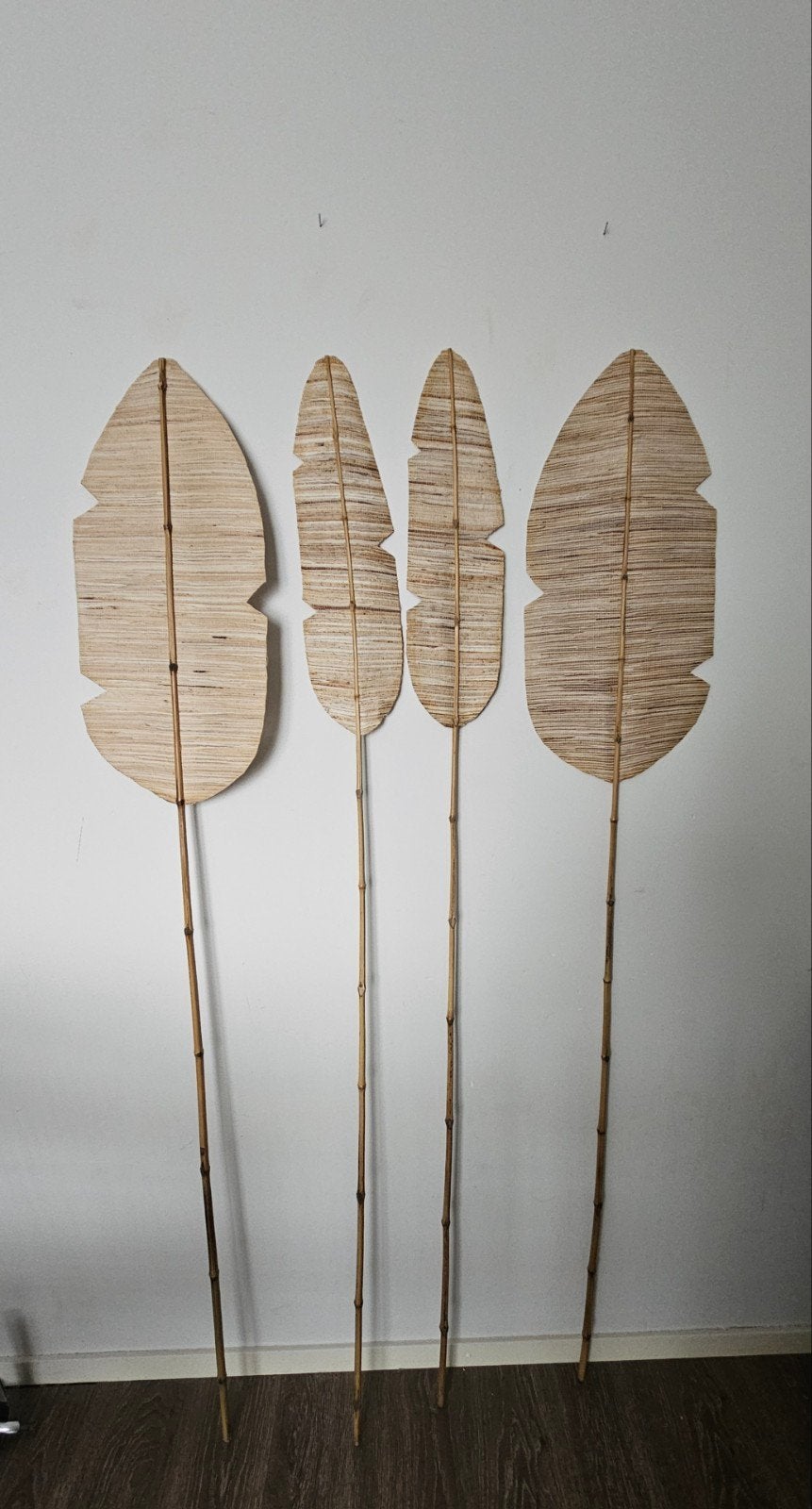Decoratieve palmbladeren, Ophalen