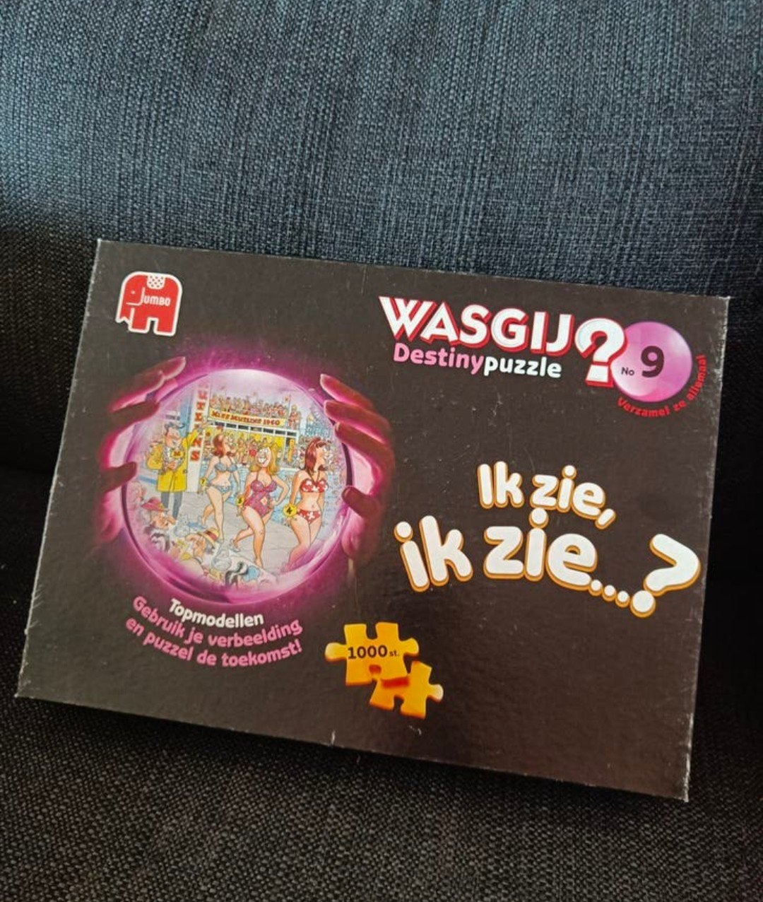 Wasgij Destiny 9: Ik zie, ik zie...? 1000 stukjes, Ophalen of Verzenden, 500 t/m 1500 stukjes, Zo goed als nieuw, Legpuzzel