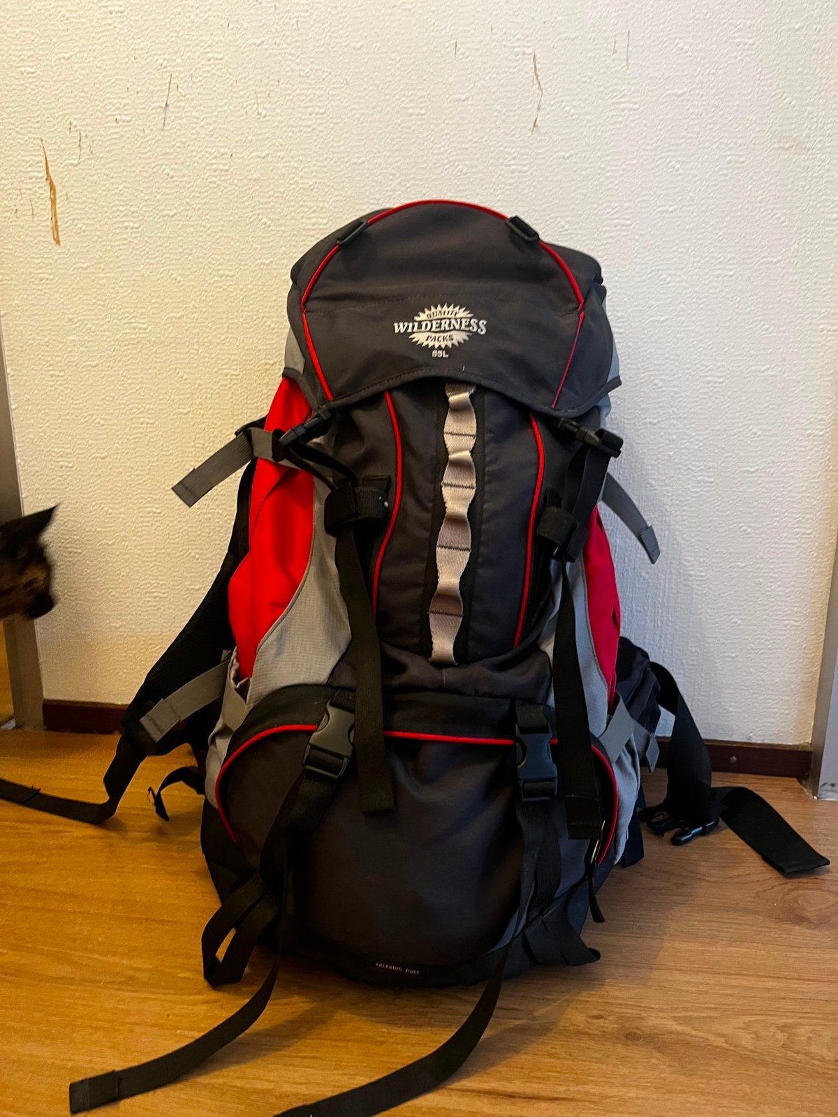 Outdoor backpack / Wandelrugzak - Hiking,trekking - 55L, Ophalen, Zo goed als nieuw, Rugzak