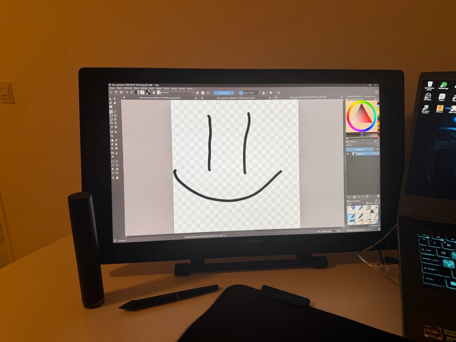 XP-Pen Artist 22 Pro Tekentablet met Scherm, Computers en Software, Ophalen, Zo goed als nieuw, Bedraad