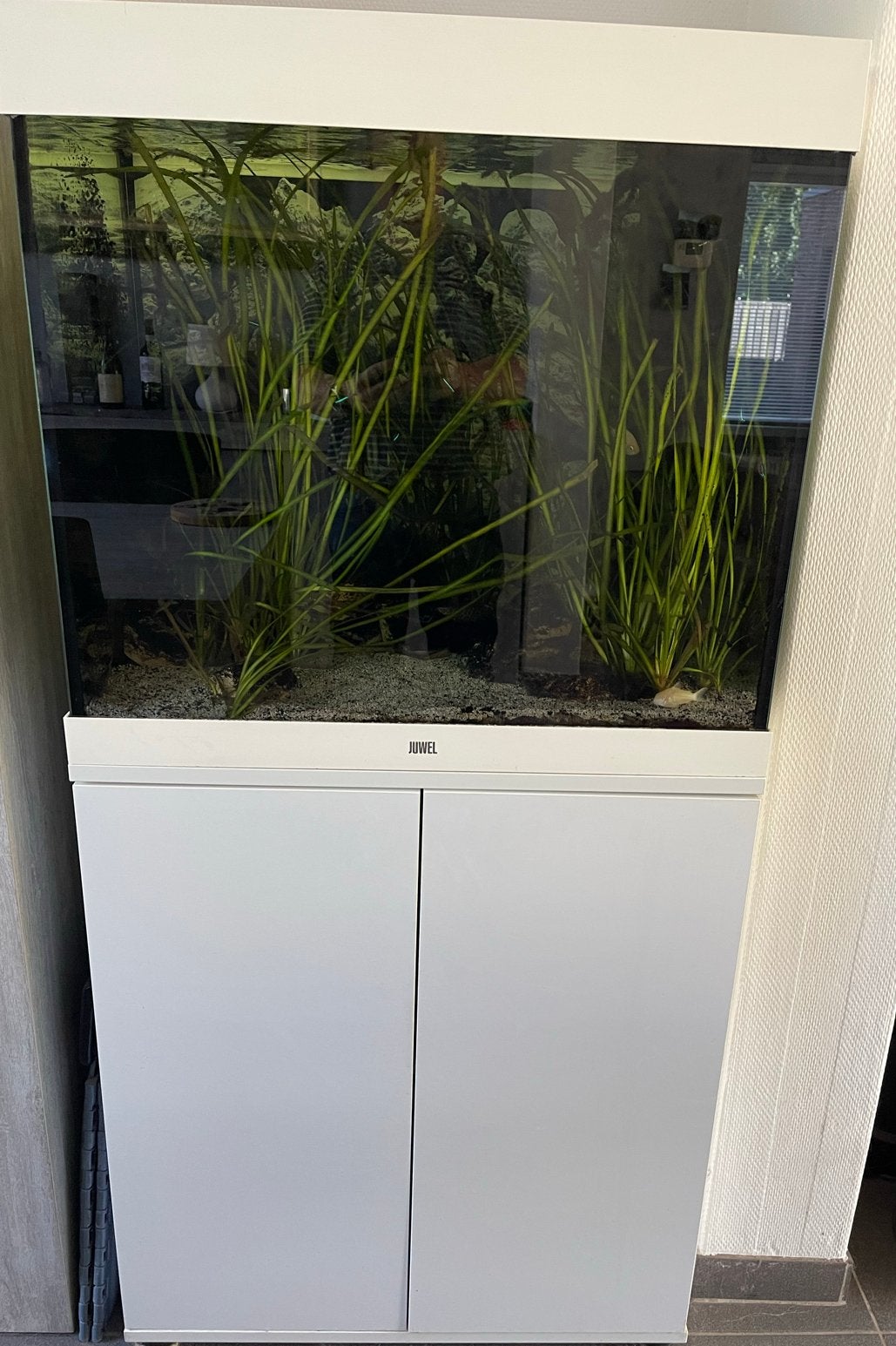 2 Juwel aquariums te koop wegens stopzetten hobby, Ophalen, Nieuw, Gevuld zoetwateraquarium, Pomp