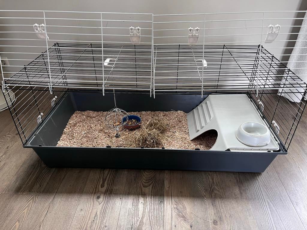 Cavia kooi + toebehoren + resrant hooi / zaagsel / voer, Ophalen, Gebruikt, Overige typen