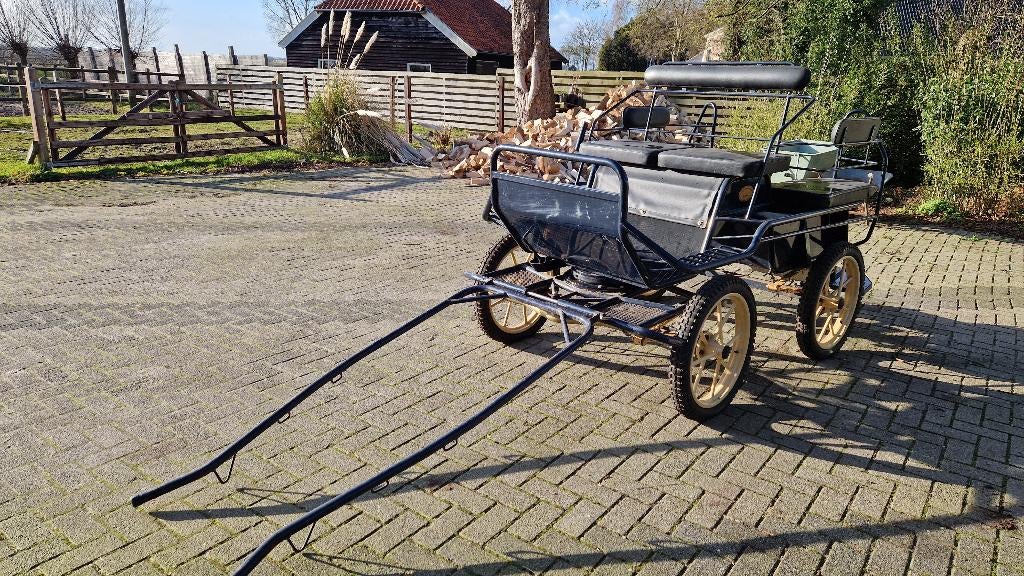 Rijtuig (marathon), Dieren en Toebehoren, Rijtuigen en Koetsen, Gebruikt, Marathonwagen, Paard of Pony