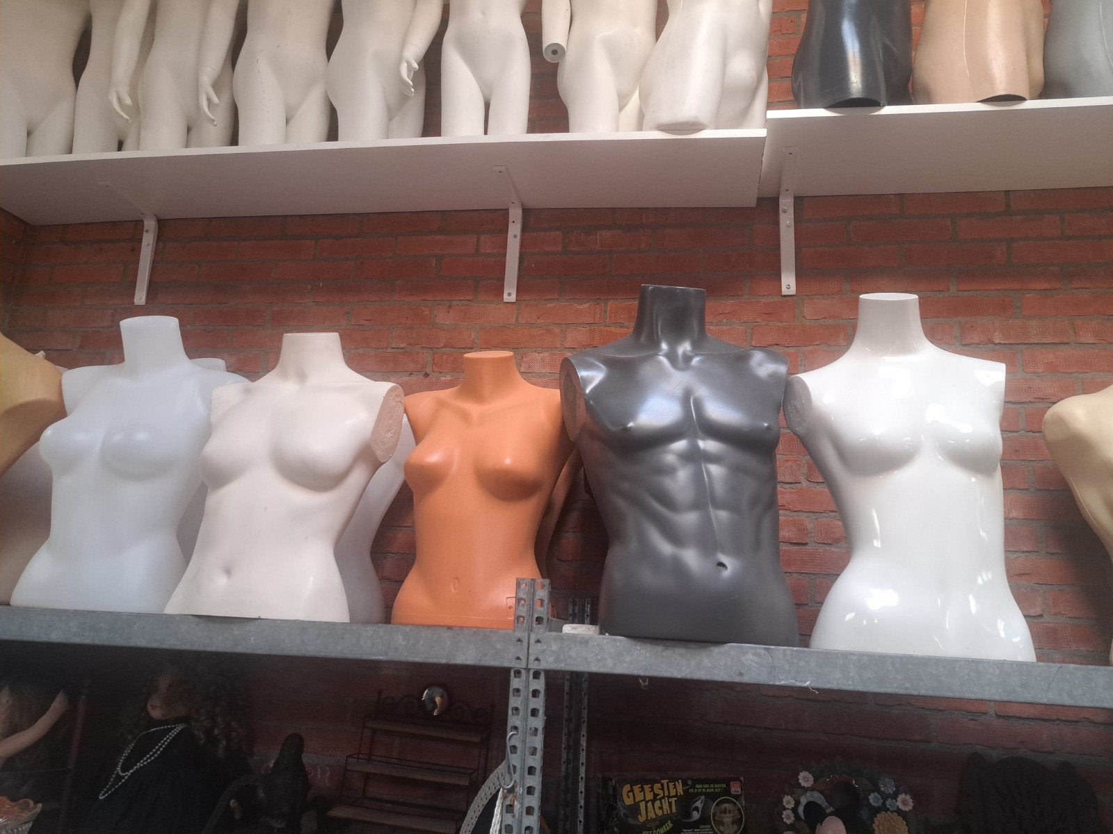 paspop/buste/torso, Ophalen of Verzenden, Gebruikt