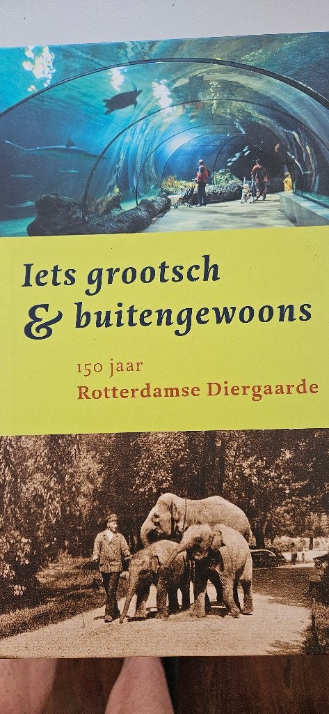 Jubileumboek Diergaarde Blijdorp, Nieuw, Diverse auteurs, Ophalen, 20e eeuw of later