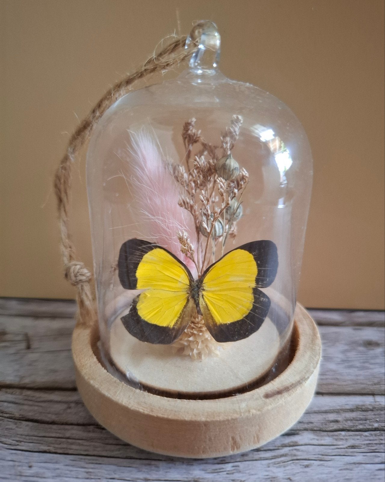 Eurema - vlinder in klein glazen stolpje, Verzamelen, Dierenverzamelingen, Ophalen, Beeldje of Figuurtje