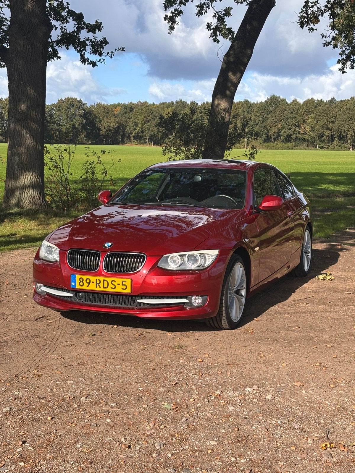 BMW 3-Serie 330 XI, Automaat, 1800 kg, 4 stoelen, 2996 cc