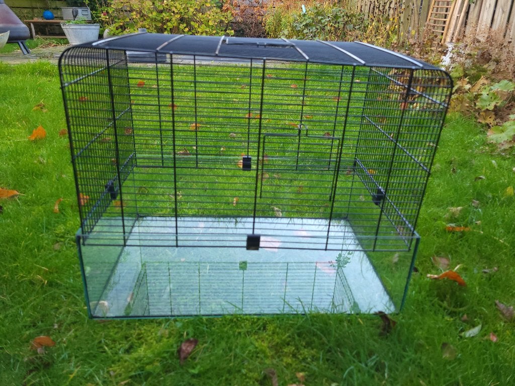 Glazen hamsterkooi met accessoires, Kooi, Minder dan 75 cm, Zo goed als nieuw, Hamster