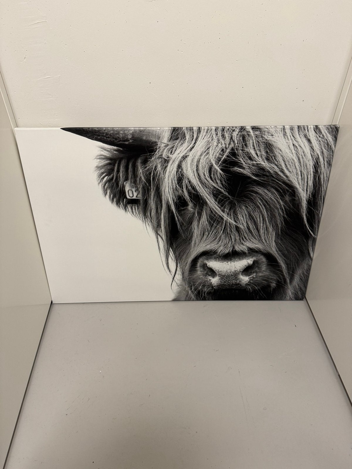 Portret Schotse Hooglander zwart-wit, Huis en Inrichting, Ophalen of Verzenden, Zo goed als nieuw, Schilderij, 100 tot 125 cm