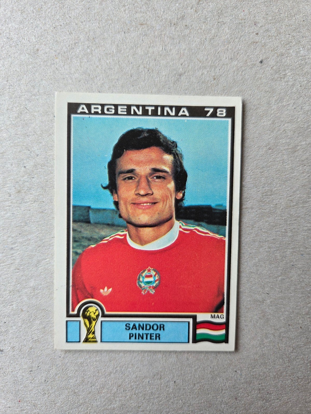 Panini WK 78, Ophalen of Verzenden, Zo goed als nieuw, Buitenlandse clubs, Poster, Plaatje of Sticker